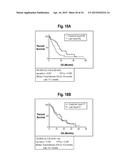 Classification Generation Method Using Combination of Mini-Classifiers     with Regularization and Uses Thereof diagram and image