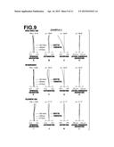 ZOOM LENS AND IMAGING APPARATUS diagram and image