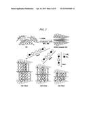 INTERLAYER DISTANCE CONTROLLED GRAPHENE, SUPERCAPACITOR AND METHOD OF     PRODUCING THE SAME diagram and image