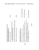 INTELLIGENT BACKHAUL RADIO WITH CO-BAND ZERO DIVISION DUPLEXING diagram and image