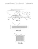 THIN BIOMETRIC DETECTION MODULE diagram and image