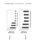 METAP-2 INHIBITOR POLYMERSOMES FOR THERAPEUTIC ADMINISTRATION diagram and image