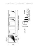 METAP-2 INHIBITOR POLYMERSOMES FOR THERAPEUTIC ADMINISTRATION diagram and image