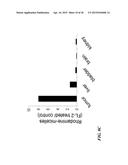 METAP-2 INHIBITOR POLYMERSOMES FOR THERAPEUTIC ADMINISTRATION diagram and image