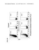 METAP-2 INHIBITOR POLYMERSOMES FOR THERAPEUTIC ADMINISTRATION diagram and image