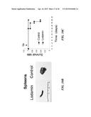 METAP-2 INHIBITOR POLYMERSOMES FOR THERAPEUTIC ADMINISTRATION diagram and image