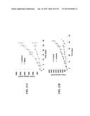 METAP-2 INHIBITOR POLYMERSOMES FOR THERAPEUTIC ADMINISTRATION diagram and image