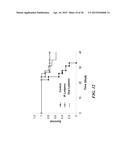 METAP-2 INHIBITOR POLYMERSOMES FOR THERAPEUTIC ADMINISTRATION diagram and image