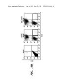 METAP-2 INHIBITOR POLYMERSOMES FOR THERAPEUTIC ADMINISTRATION diagram and image