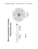 METAP-2 INHIBITOR POLYMERSOMES FOR THERAPEUTIC ADMINISTRATION diagram and image