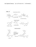 METAP-2 INHIBITOR POLYMERSOMES FOR THERAPEUTIC ADMINISTRATION diagram and image