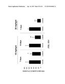 METAP-2 INHIBITOR POLYMERSOMES FOR THERAPEUTIC ADMINISTRATION diagram and image