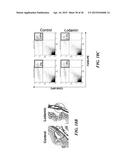 METAP-2 INHIBITOR POLYMERSOMES FOR THERAPEUTIC ADMINISTRATION diagram and image