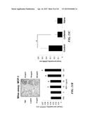 METAP-2 INHIBITOR POLYMERSOMES FOR THERAPEUTIC ADMINISTRATION diagram and image