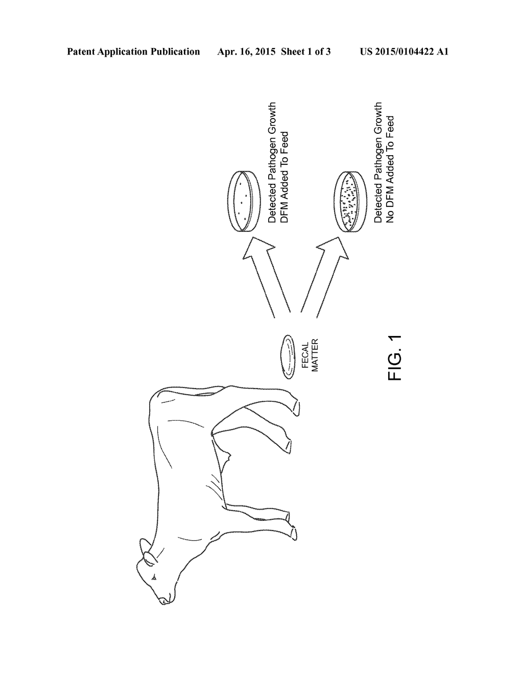 FOS-BASED PREBIOTIC AND BACTERIAL-BASED PROBIOTIC - diagram, schematic, and image 02