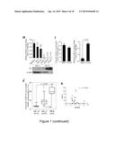 MiRNA-31 AS A DIAGNOSTIC, PROGNOSTIC AND THERAPEUTIC AGENT IN CANCER diagram and image