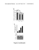 MiRNA-31 AS A DIAGNOSTIC, PROGNOSTIC AND THERAPEUTIC AGENT IN CANCER diagram and image