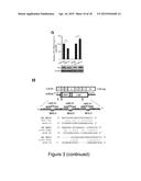 MiRNA-31 AS A DIAGNOSTIC, PROGNOSTIC AND THERAPEUTIC AGENT IN CANCER diagram and image