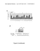 MiRNA-31 AS A DIAGNOSTIC, PROGNOSTIC AND THERAPEUTIC AGENT IN CANCER diagram and image