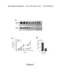 MiRNA-31 AS A DIAGNOSTIC, PROGNOSTIC AND THERAPEUTIC AGENT IN CANCER diagram and image