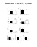 GENETIC AND ENVIRONMENTAL MARKERS TO IDENTIFY INFANTS AT RISK FOR SEVERE     LUNG DISEASE diagram and image