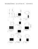 GENETIC AND ENVIRONMENTAL MARKERS TO IDENTIFY INFANTS AT RISK FOR SEVERE     LUNG DISEASE diagram and image