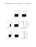 GENETIC AND ENVIRONMENTAL MARKERS TO IDENTIFY INFANTS AT RISK FOR SEVERE     LUNG DISEASE diagram and image