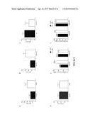 GENETIC AND ENVIRONMENTAL MARKERS TO IDENTIFY INFANTS AT RISK FOR SEVERE     LUNG DISEASE diagram and image