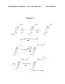 CARRIERS FOR IMPROVED DRUG DELIVERY diagram and image