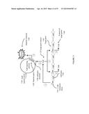 Non-Replicative Transduction Particles and Transduction Particle-Based     Reporter Systems diagram and image