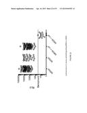 Non-Replicative Transduction Particles and Transduction Particle-Based     Reporter Systems diagram and image