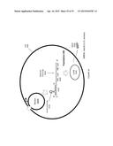 Non-Replicative Transduction Particles and Transduction Particle-Based     Reporter Systems diagram and image