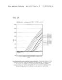 COMPOSITIONS AND METHODS QUANTIFYING A NUCLEIC ACID SEQUENCE IN A SAMPLE diagram and image