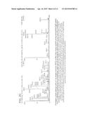 COMPOSITIONS AND METHODS QUANTIFYING A NUCLEIC ACID SEQUENCE IN A SAMPLE diagram and image