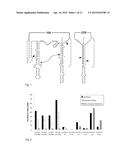 ANTIBIOTIC SUSCEPTIBILITY TESTING USING PROBES FOR PRERIBOSOMAL RNA diagram and image