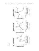 ANTIBIOTIC SUSCEPTIBILITY TESTING USING PROBES FOR PRERIBOSOMAL RNA diagram and image