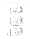 ANTIBIOTIC SUSCEPTIBILITY TESTING USING PROBES FOR PRERIBOSOMAL RNA diagram and image