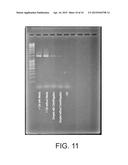 MICRODROPLET-MANIPULATION SYSTEMS AND METHODS FOR AUTOMATED EXECUTION OF     MOLECULAR BIOLOGICAL PROTOCOLS diagram and image