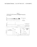 DETECTION AND TREATMENT OF CANCER diagram and image