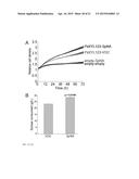 Genes Related to Xylose Fermentation and Methods of Using Same for     Enhanced Biofuel Production diagram and image