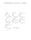 Genes Related to Xylose Fermentation and Methods of Using Same for     Enhanced Biofuel Production diagram and image