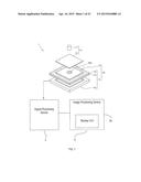 ANALYTE DETECTION METHOD, FLUORESCENCE DETECTION METHOD, AND FLUORESCENCE     DETECTION APPARATUS USING SAME diagram and image