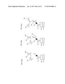 ANALYTE DETECTION METHOD, FLUORESCENCE DETECTION METHOD, AND FLUORESCENCE     DETECTION APPARATUS USING SAME diagram and image