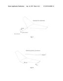 WEIGHT-SHIFT CONTROLLED PERSONAL HYDROFOIL WATERCRAFT diagram and image