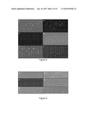 SCREENING METHOD FOR THE DETECTION OF CLOSTRIDIUM DIFFICILE diagram and image