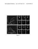 SCREENING METHOD FOR THE DETECTION OF CLOSTRIDIUM DIFFICILE diagram and image