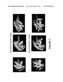 BLID; a novel protein domain for interaction with the Bcl-2 family of     proteins. Applications in Oncology diagram and image