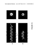 BLID; a novel protein domain for interaction with the Bcl-2 family of     proteins. Applications in Oncology diagram and image