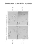 ANTI-ANGIOGENIC TREATMENT OF OVARIAN, BREAST, AND PROSTATE CANCER WITH A     COMBINATION OF ANTAGONISTS diagram and image