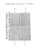 ANTI-ANGIOGENIC TREATMENT OF OVARIAN, BREAST, AND PROSTATE CANCER WITH A     COMBINATION OF ANTAGONISTS diagram and image